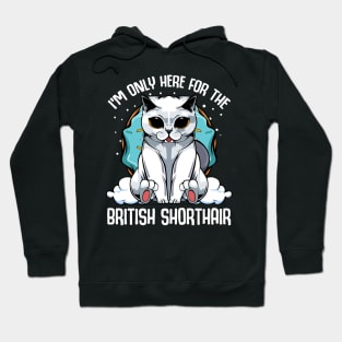 I'm Only Here For The British Shorthair - Cute Kawaii Cats Hoodie